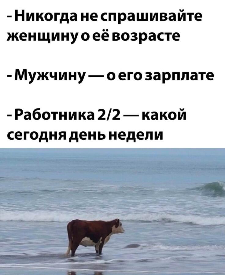 Мем от гусь228