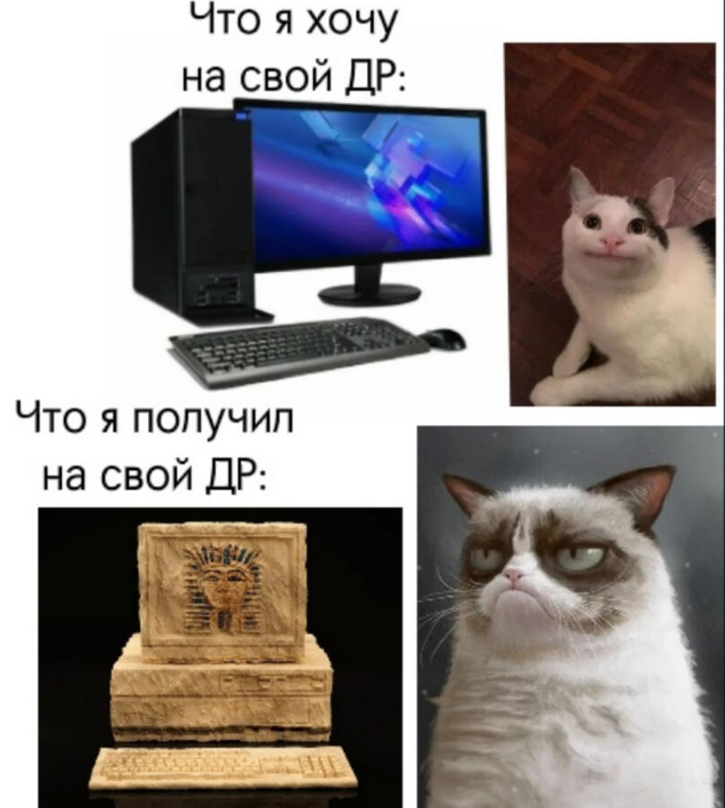 У кого жиза?