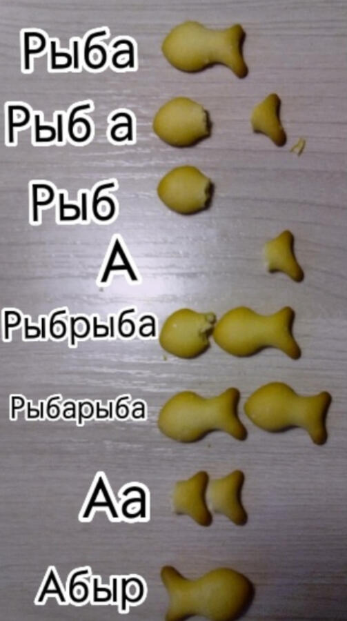 Рыба – разные виды
