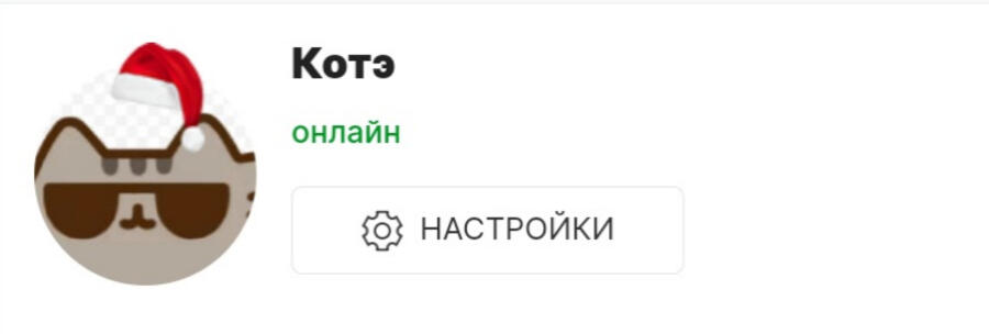 Сначала меня звали "Котенька", потом мой ник сменился на "Котэ", и я не копировал и переделывал ники у КоТеЙкИ и Коть, э