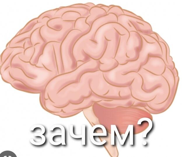 *я роняю мандаринку* 
Мозг: