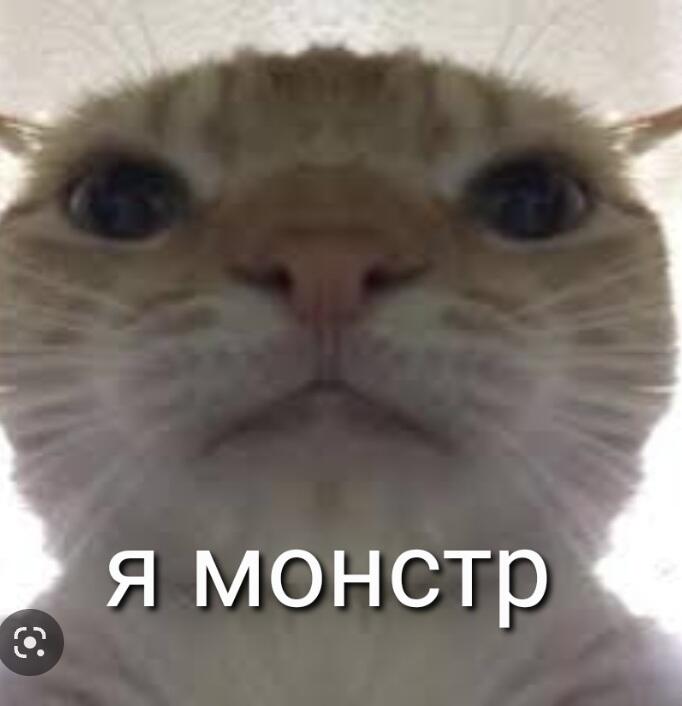 Когда ударил котика в майнтрафте