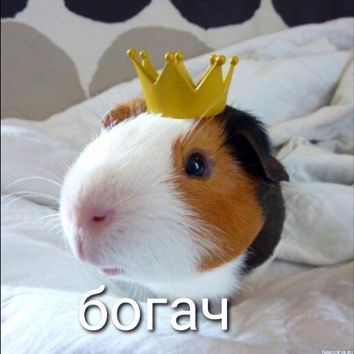 Когда нашёл 100 рублей в 2009