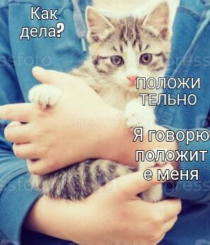 Мем без подписи