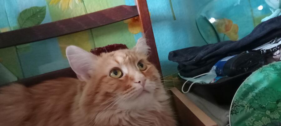 Некто: 
Абсолютно некто: 
Я на дне рождения: