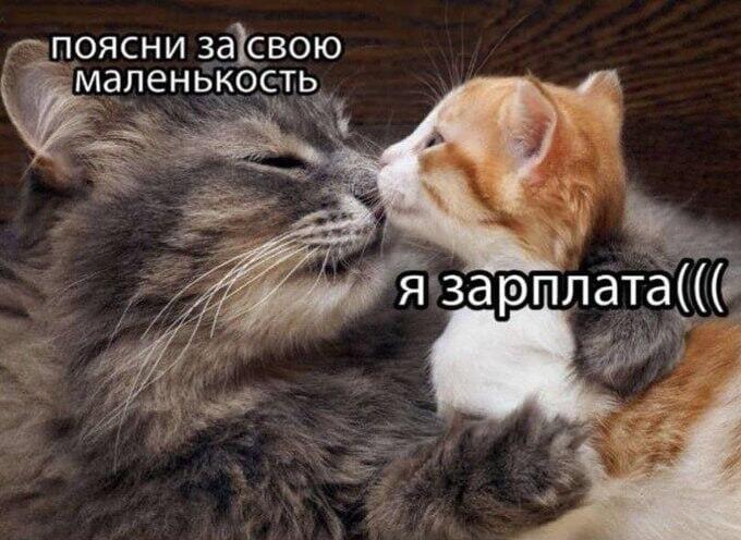 Мем без подписи