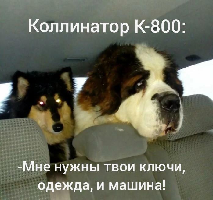 Мем от Сергей(ВК: @seryoga0245)