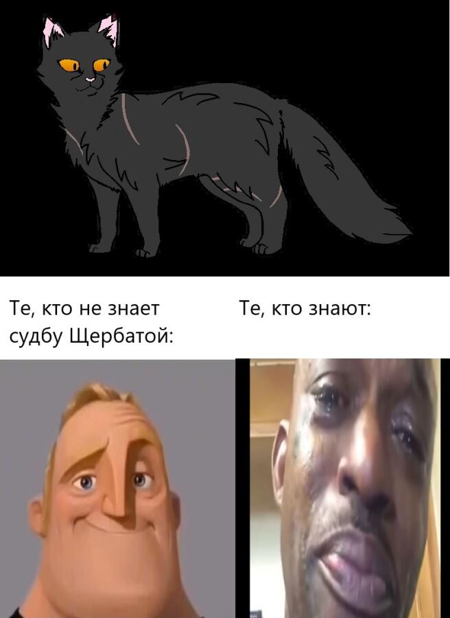 Да, я среди тех, кто знает её судьбу, и мне её очень жаль!