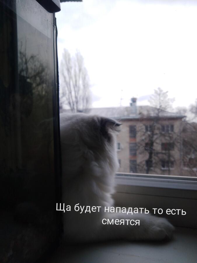 а у вас тоже есть такой друг который бесит вас но смеётся?
Если честно то этот друг я