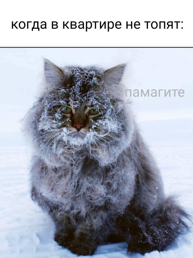 Это зима чувак