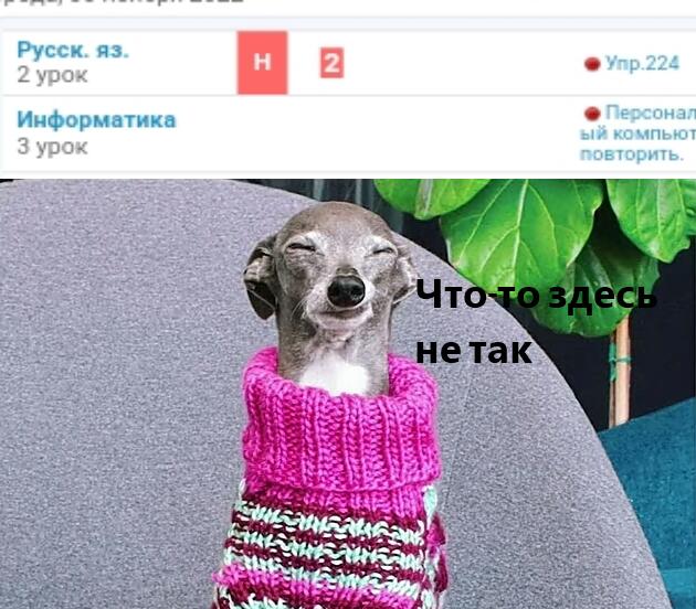 Если что это правда, я был на уроке но почему у меня стоит "н" не поня...