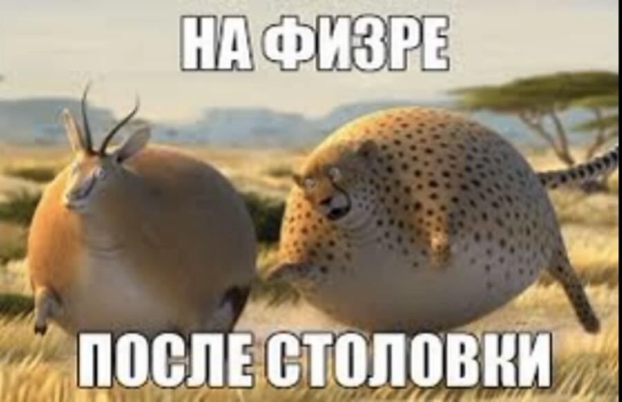Просто жиза для кого тоже поставь лайк