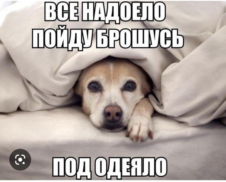 Когда надо в школу все школьники: