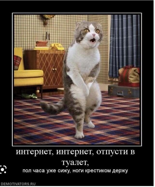 Когда играешь в онлайн игру и не можешь пойти в туалет и взять телефон с собой не можешь потому что на зарядке (ты 100% 