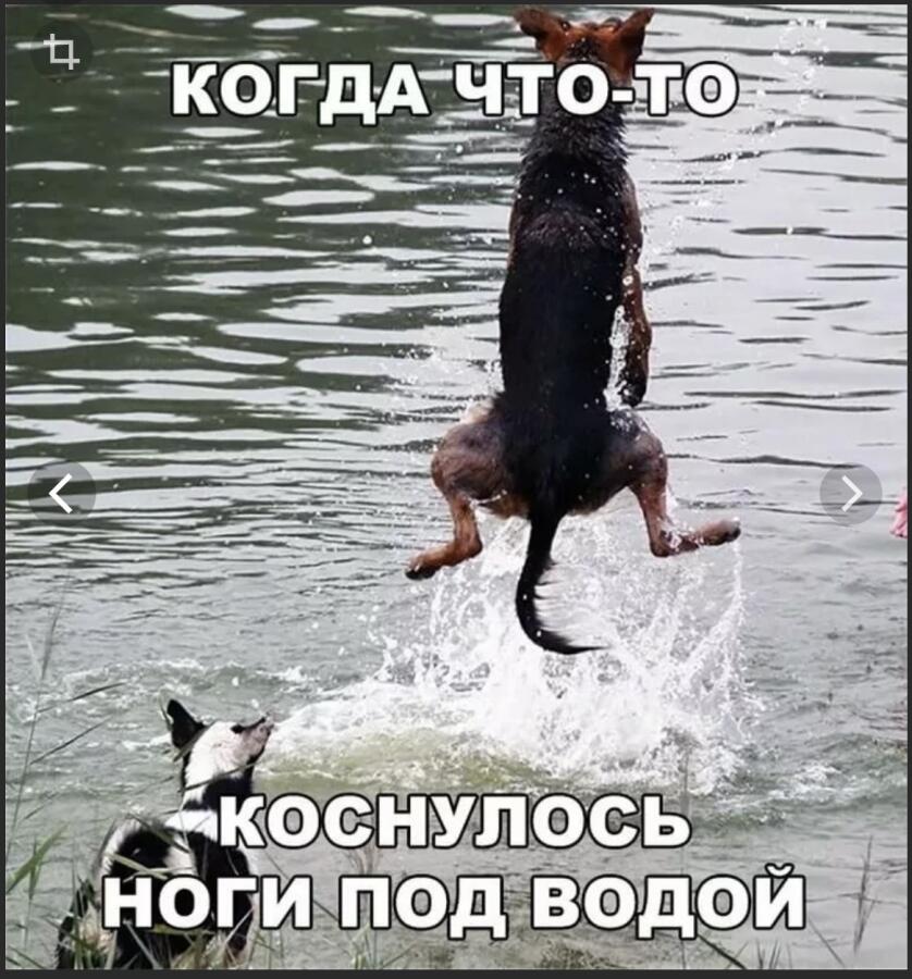 Когда пошёл покупаться, жиза? Если да то поставь лайк