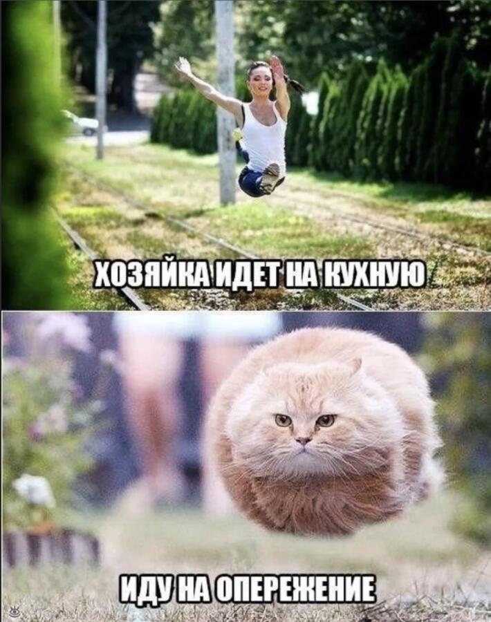 Когда идёшь на кухню: