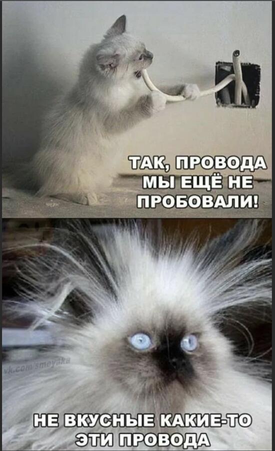 Когда сильно хочется есть а в доме ничего нету:ну как ничего провода всегда есть
