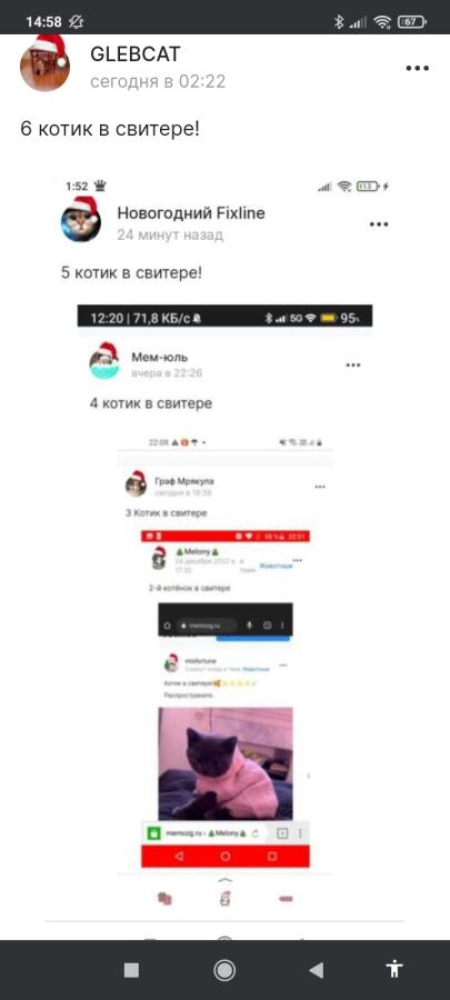 7 КОТИК В СВИТЕРЕ