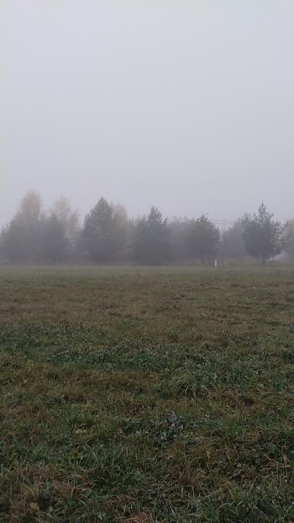 Мем без подписи