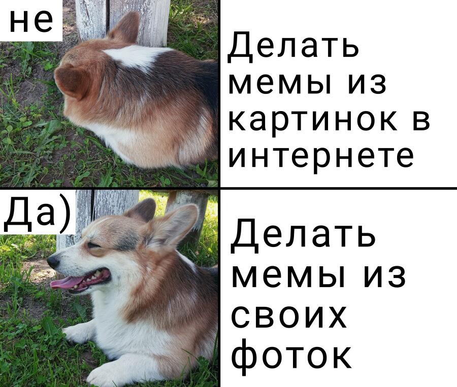 Мемы про мемозг)