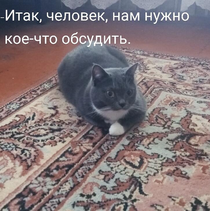 Мем от Liza