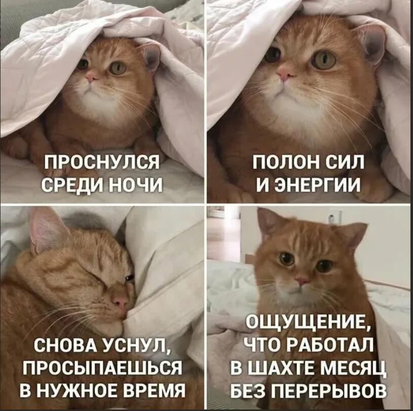 вот аш два мема