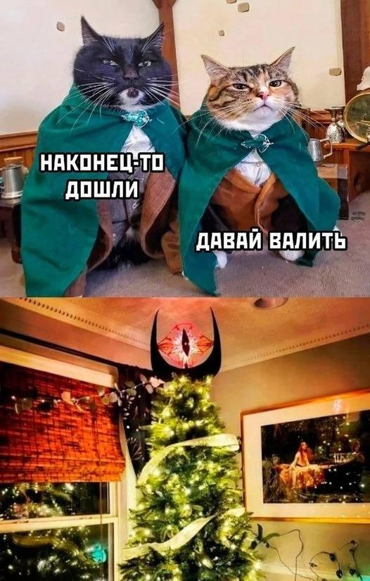 Кот может победит Саурона, а ты?