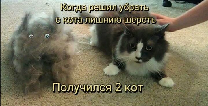 У меня их уже 5,а у вас?
