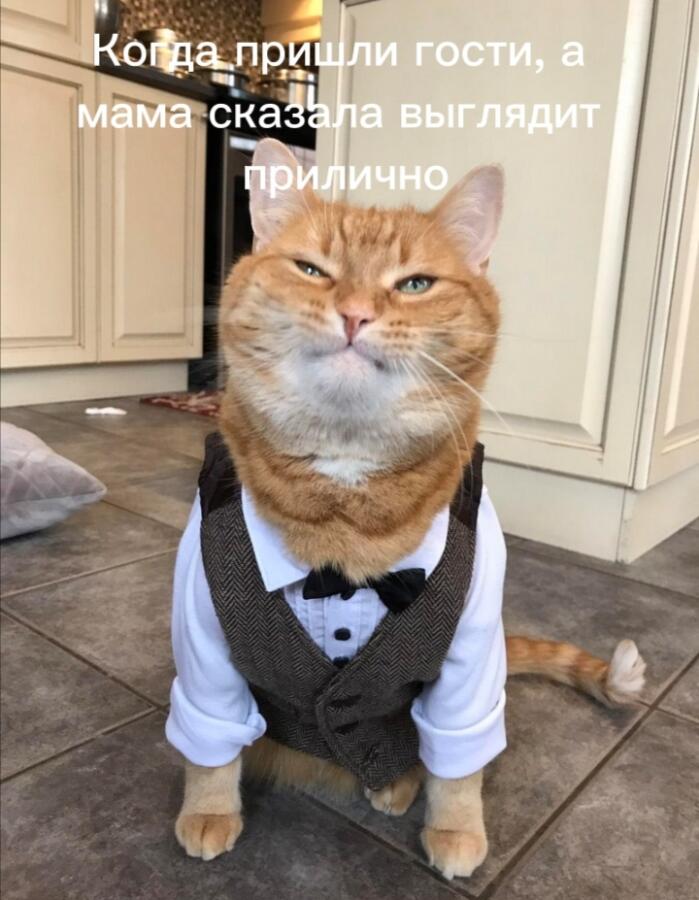 Мем от Ver1f
