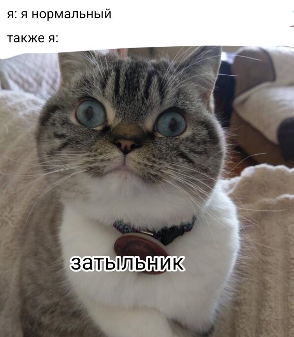 Мем от Daniil_1377 [ПЛМ]