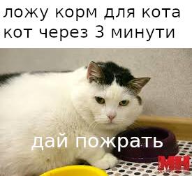 Мем от cub
