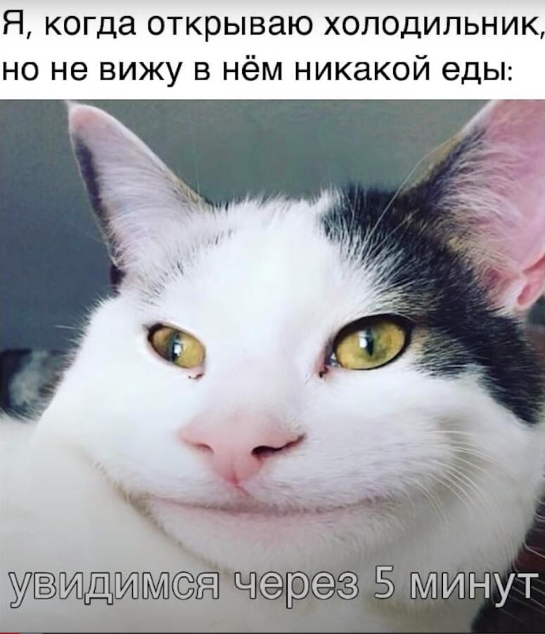 Жиза, только я иногда забываю что я в него заглядывал и думаю что найду что то
Так... Что то я сделать забыл, точно! П