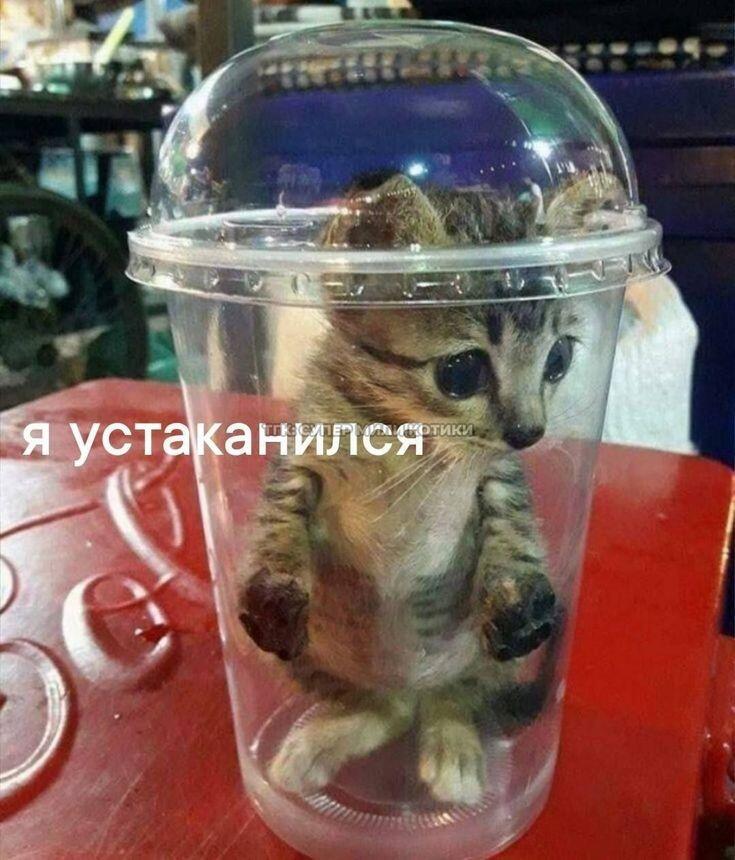 всё будет кружко (тип круто)