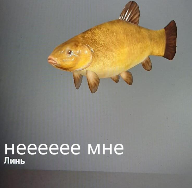 я жду что-бы кто небудь подписался 
так же все: