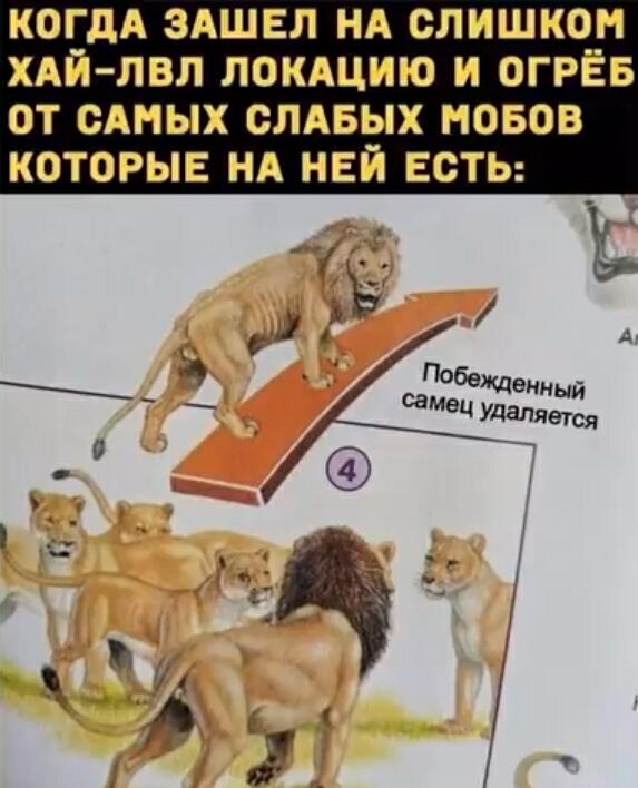 Мем от Тип_крутой