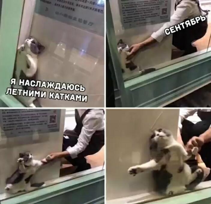 Мем от Тип_крутой
