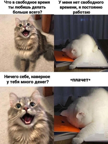 Пока постил этот мем у меня слезы потекли