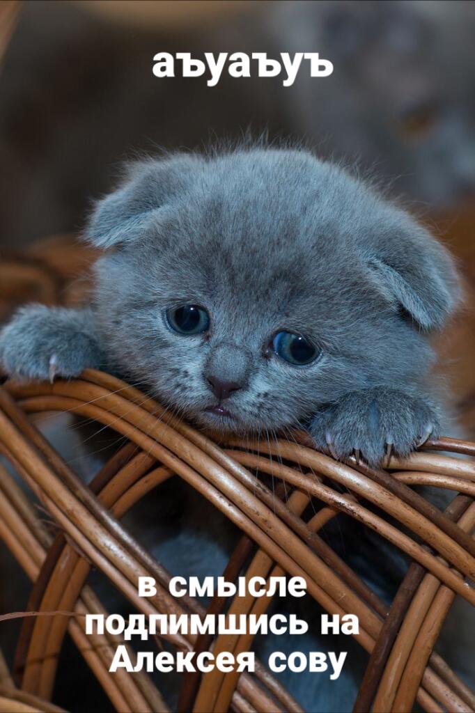 Кто-то: лучшей фразы не существует 
Я: 👇