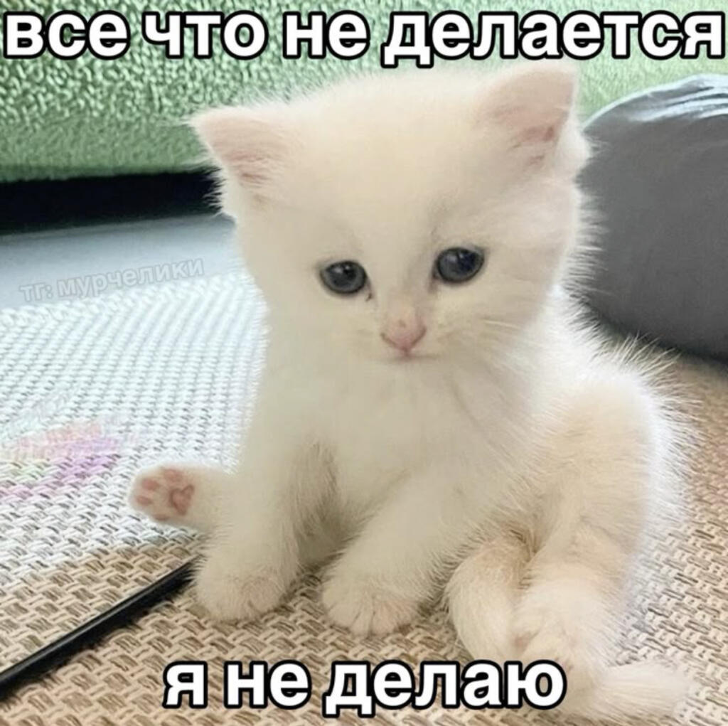 Мем от Мемный Арбузик🍉 🔧