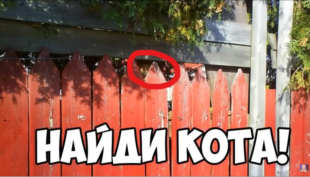 Макс Максимов дурень!!!