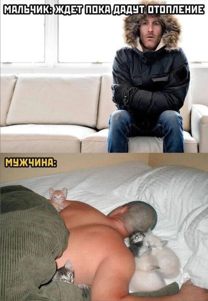 Мем от Просто Тимур