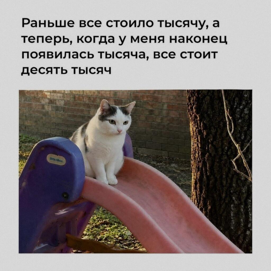 Мем от Милый Котяра