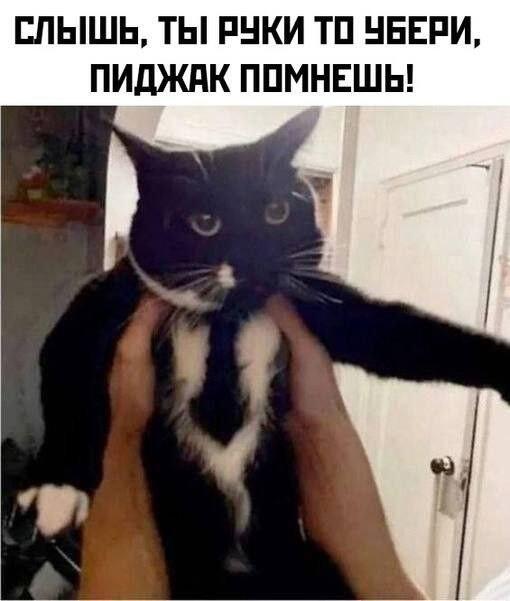 Мем от Ироник{ПЛМ}