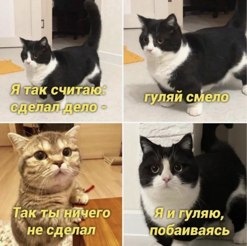 Мем от Сat_254