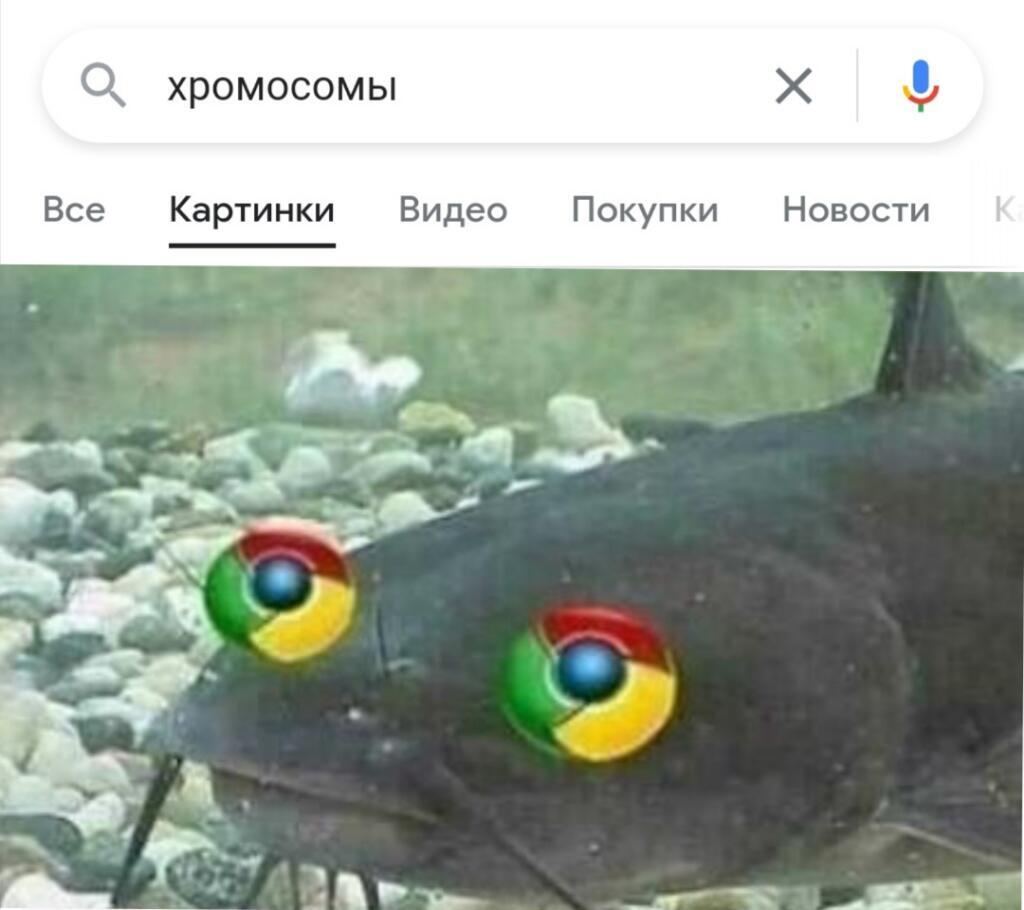 Яндекссомы