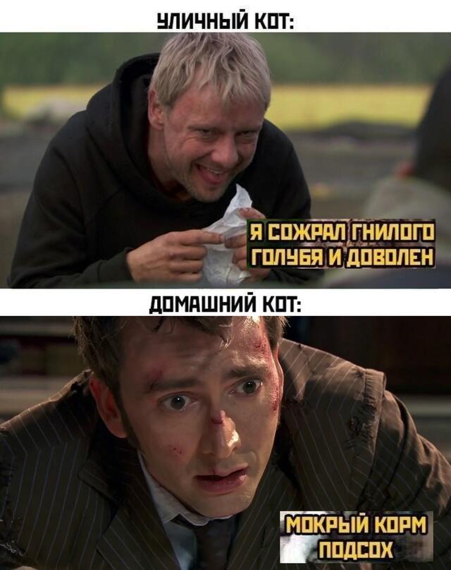 Мем от Брахмапутра