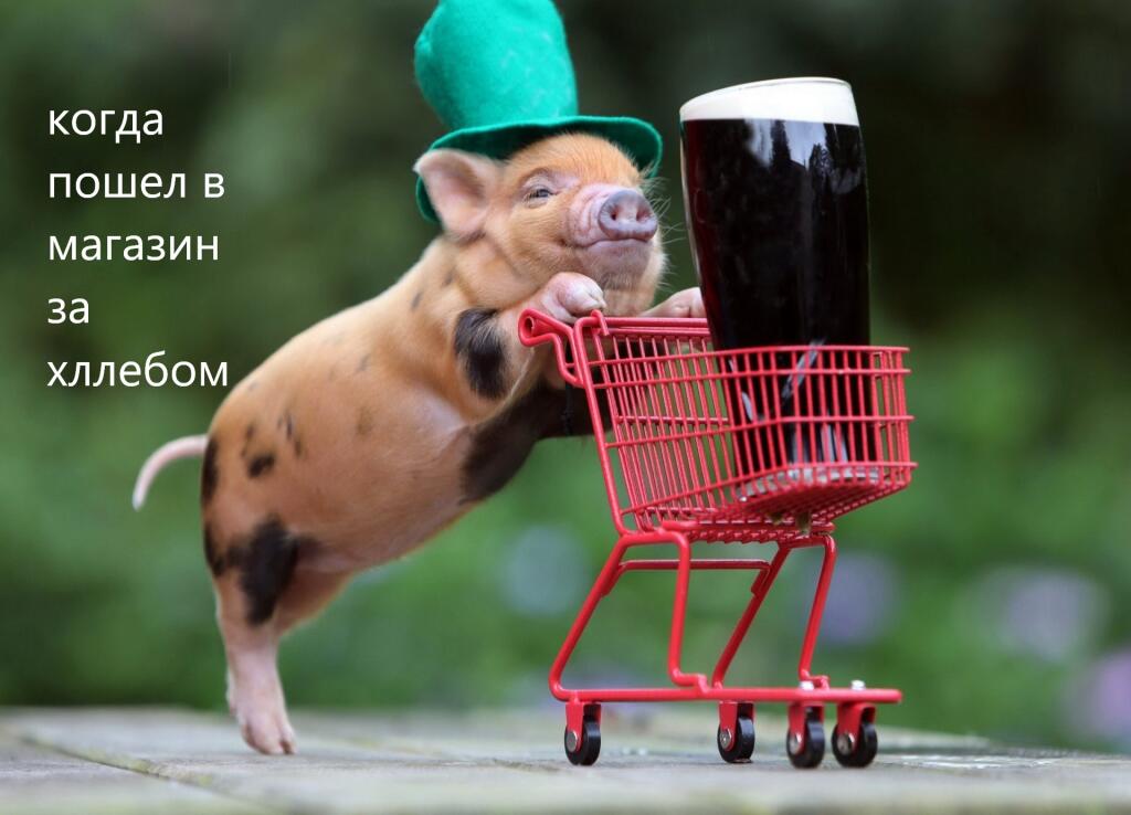 2 мем