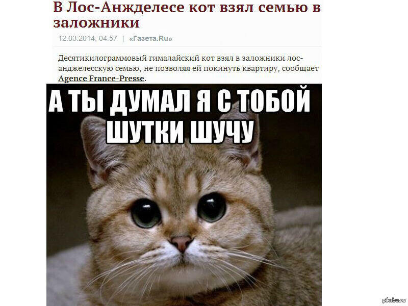 Мем без подписи