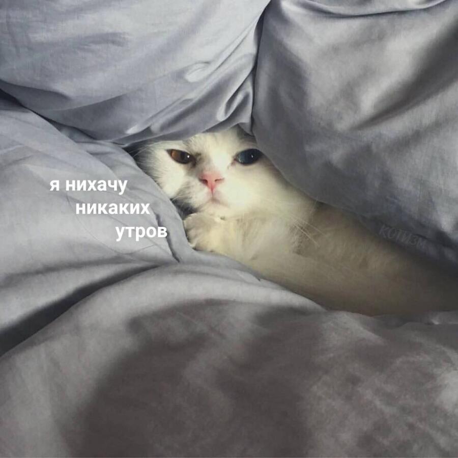 Я буквально каждый новый день