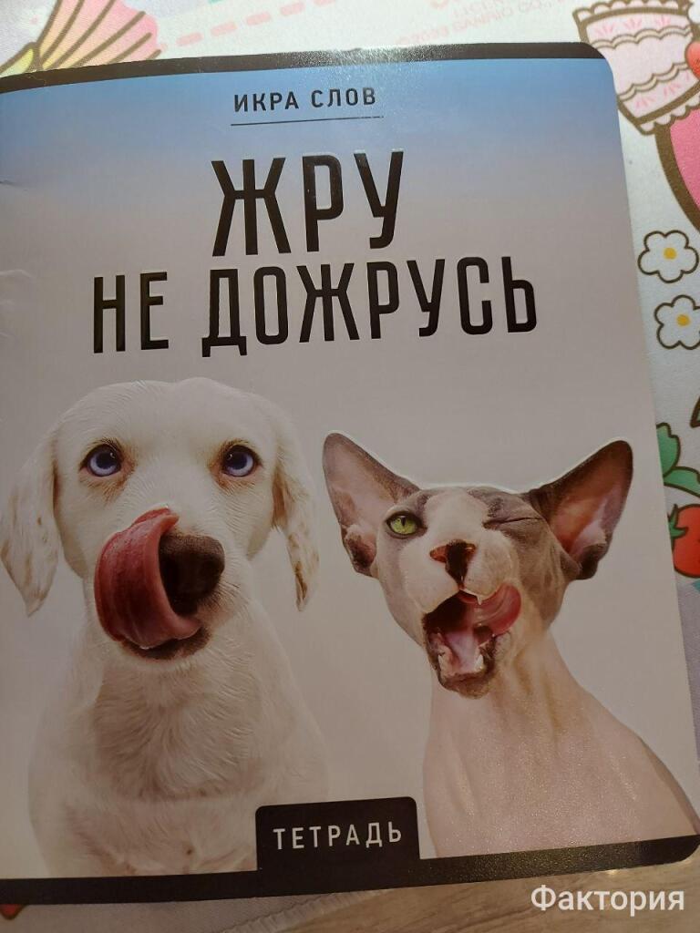 Дневник который полностью описывает моё душевное состояние
